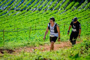 BIB: 
                            <button type="button" onclick="openModal(19163526)" class="btn btn-primary btn-sm float-right btn-popup" data-toggle="modal" data-target=".modal-high-quality">
                        <i class="fas fa-shopping-cart"></i> Add to Cart
                    </button>
                                            <button type="button" onclick="isThisMe(19163526, true)" class="btn btn-success btn-sm float-right btn-popup btn-isme hidden" data-toggle="tooltip" data-placement="bottom" title="นี่คือรูปของคุณใช่ไหม คลิกที่นี่เพื่อเอาเข้าอัลบั้ม">
                        <i class="fas fa-plus"></i> Add to album
                    </button>
                    <button type="button" onclick="isThisMe(19163526, false)" class="btn btn-warning btn-sm float-right btn-popup btn-isnotme hidden">
                        <i class="fas fa-ban"></i> Remove from album
                    </button>